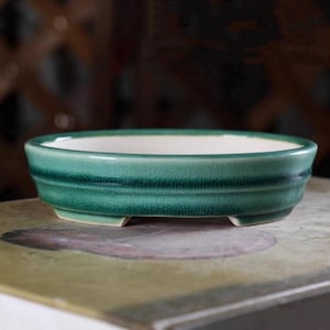 Puede incluir: Una maceta de bonsái ovalada de cerámica verde con interior blanco y tres pequeños pies. La maceta tiene un acabado esmaltado con líneas sutiles.