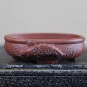May include: A reddish-brown ceramic bonsai pot with a fish relief design. The oval-shaped pot features a detailed carving of a fish on the side, with wave patterns. The pot is designed for small plants and has a low profile.