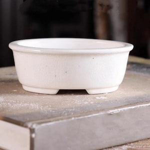 May include: White ceramic oval bonsai pot with a textured surface and four small feet.