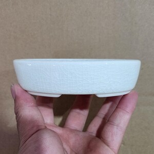 May include: A small, off-white ceramic bonsai pot with a crackle glaze. The round, shallow dish has a low profile and three small feet. The pot is designed for planting small trees or plants.