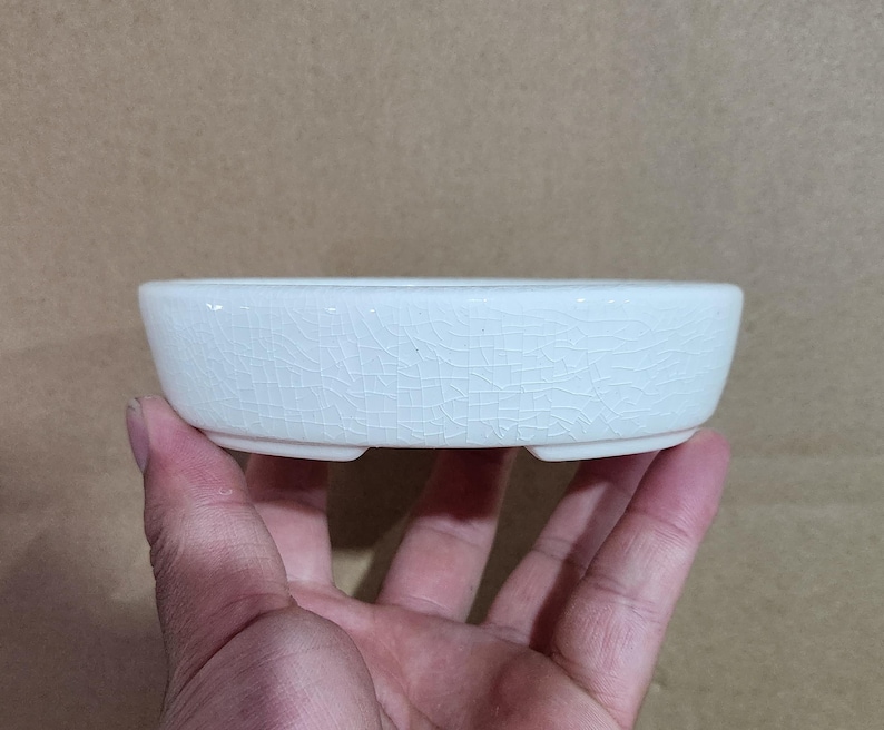 May include: A small, off-white ceramic bonsai pot with a crackle glaze. The round, shallow dish has a low profile and three small feet. The pot is designed for planting small trees or plants.