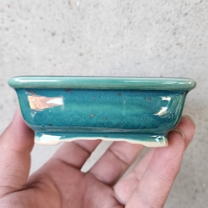 May include: A rectangular green ceramic bonsai pot with a light green glaze and a slightly raised rim. The pot has a speckled appearance and a slightly off-white base.
