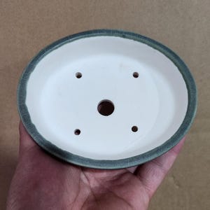 May include: A white ceramic bonsai pot with a green rim. The pot is round with a series of drainage holes. The pot is held in a hand.