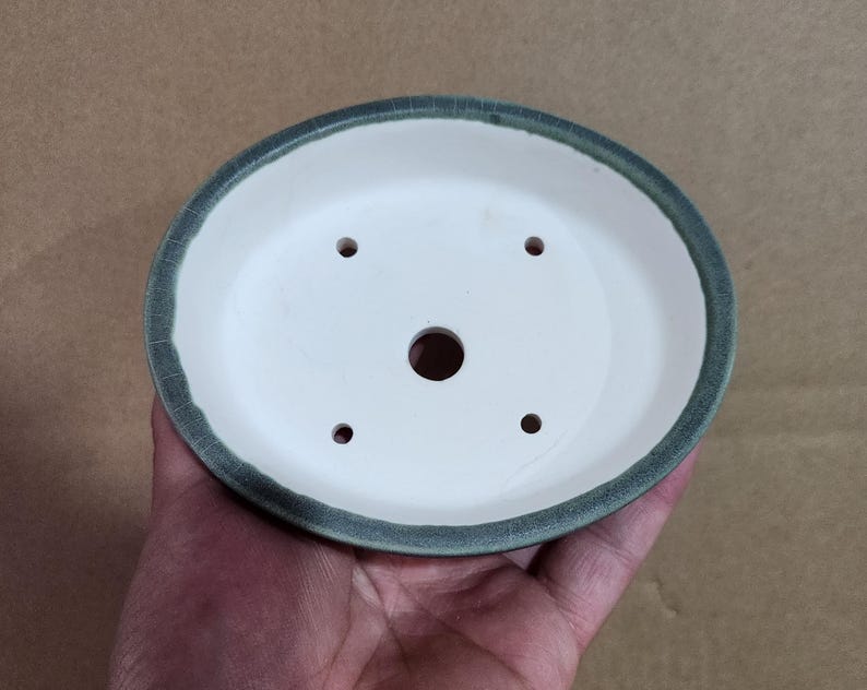 May include: A white ceramic bonsai pot with a green rim. The pot is round with a series of drainage holes. The pot is held in a hand.