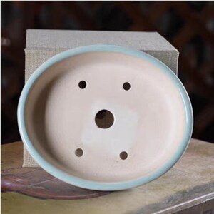May include: A light blue oval ceramic saucer with five drainage holes. The saucer is designed for use with a potted plant.
