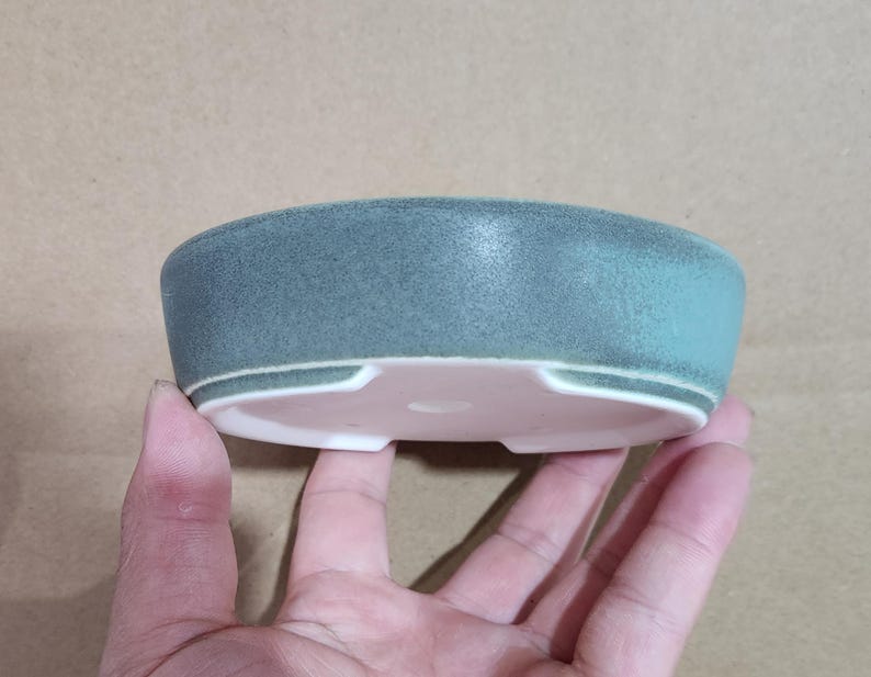 May include: A small, round, ceramic planter with a matte teal exterior and a pale pink interior. The planter has a low profile and a simple, modern design, suitable for small plants or succulents.