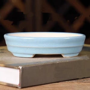 May include: A light blue ceramic bonsai pot with a rounded oval shape and four small feet. The pot is glazed and has a smooth finish.