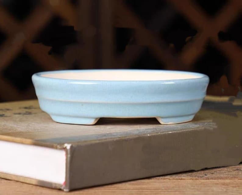 May include: A light blue ceramic bonsai pot with a rounded oval shape and four small feet. The pot is glazed and has a smooth finish.