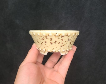 Mini-Bonsai-Topf: Hochtemperaturofen glasierter Niet-Blumentopf