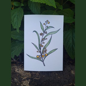 Greeting Card – Golden Wattle Australian Native Flora Botanical Illustration – Ink & Watercolour Art Print
