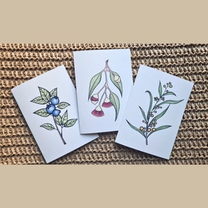 3 Pack of Greeting Cards – Gum Blossom, Golden Wattle, Blueberry - Botanical Illustration – Ink & Watercolour Art Print
