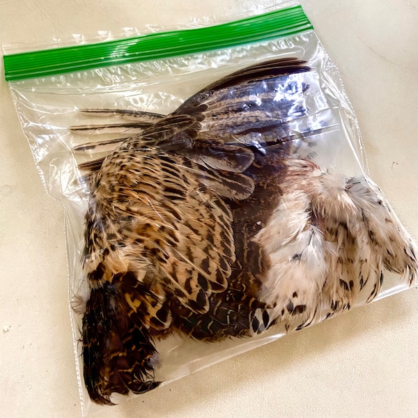 Dehydrated Quail Feathers (4 Pack)