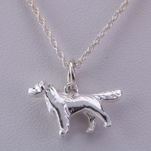 Può includere: Collana con pendente a forma di cane argentato. Il pendente raffigura un cane in piedi, con dettagli precisi. La catena della collana ha un design a corda intrecciata.