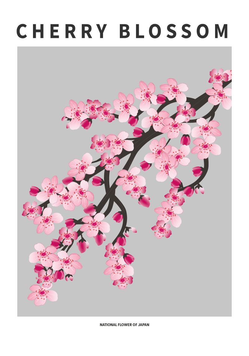 Cherry Blossom, National Flower of Japan Art Print, Modern Printable