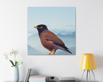 A Beautiful Common Myna Canvas Gallery Wraps I Bird Photography I India