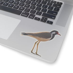 Red wattled Lapwing Kiss-Cut Stickers I Bird Sticker I Laptop image 1
