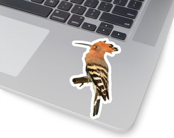 A beautiful Hoopoe Bird Kiss-Cut Sticker I Bird Sticker I Laptop Sticker I Vinyl Sticker I Bottle Sticker I Hoopoe Sticker I Bird with Crown