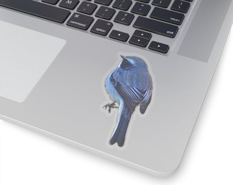 A little Grey Bush Chat Bird (Himalayan Bird) Kiss-Cut Stickers I Bird Sticker I Laptop Sticker I Vinyl Sticker I Water Bottle Sticker