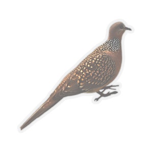 Get Kiss-Cut Stickers of Spotted Dove I Dove Stickers I Bird image 8