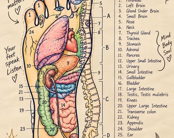 Foot acupressure and reflexology print chart, massage technique poster, home massage, healing, energy flow, neurolyphatic reflex points body