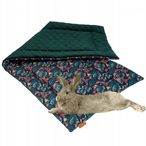 WATERPROOF MAT Dog Guinea Pigs Rats Chinchilla Pet Pillow Rabbit Cage Bunny Bed Rabbit Rat Cube Tube Small Pet House Home Honeycomb UKORY