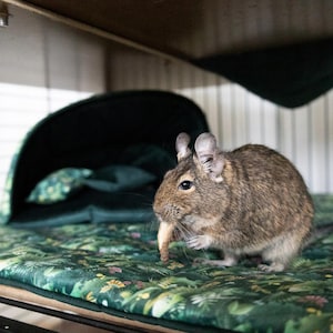 WATERPROOF MAT Dog Guinea Pigs Rats Chinchilla Pet Pillow Rabbit Cage Bunny Bed Rabbit Rat Cube Tube Small Pet House Home Honeycomb UKORY
