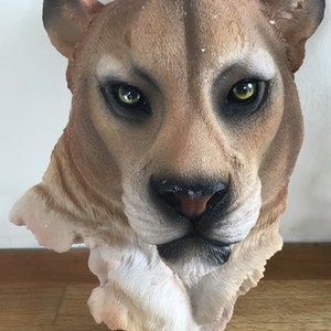 Latex mal voor het maken van dit prachtige Puma hoofd