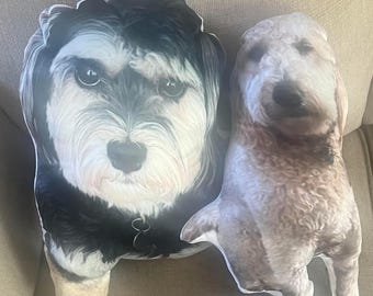 Custom Pet Pillow, Personalized Dog or Cat Photo Pillow, Memorial Keepsake
