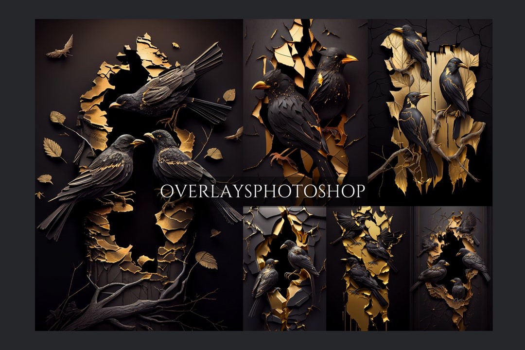Black and Gold Bird Digital Backdrop Overlays, Skinny Canvas, Maternity