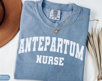 Antepartum Nurse Comfort Colors® Shirt Gift, Antepartum RN Sweatshirt, High Risk OB Long Sleeve Tee, Maternity Nurse Crewneck