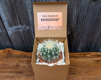 Cactus Bridesmaid Proposal Box