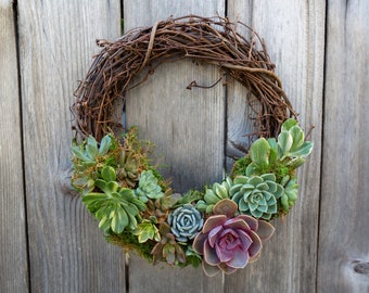 10" Grapevine Succulent Wreath, Easter Wreath, Valentine's Day Gift, Mother's Day Gift, Housewarming Gift, Anniversary Gift