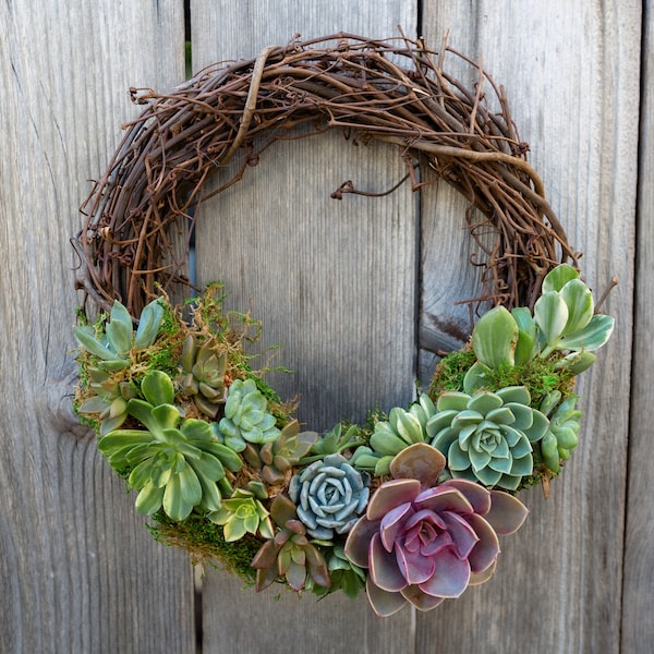 10" Grapevine Succulent Wreath, Easter Wreath, Valentine's Day Gift, Mother's Day Gift, Housewarming Gift, Anniversary Gift