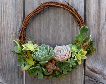 6" Grapevine Mini-Succulent Wreath, Easter Wreath, Valentine's Day Gift, Mother's Day Gift, Housewarming Gift, Anniversary Gift