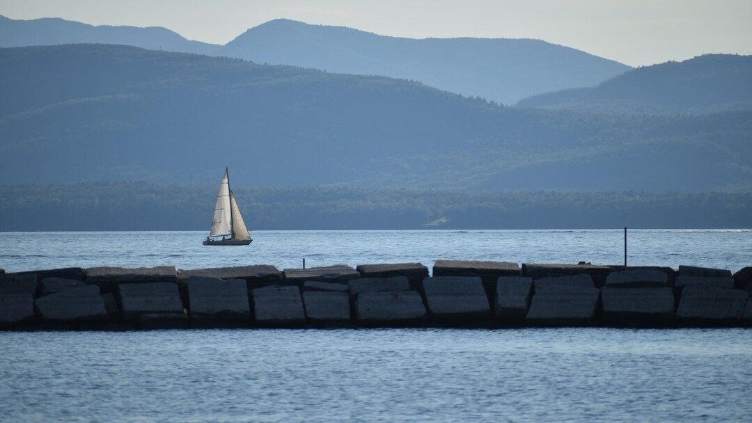 Sail Boat Zoom Background Work Office Professional Etsy