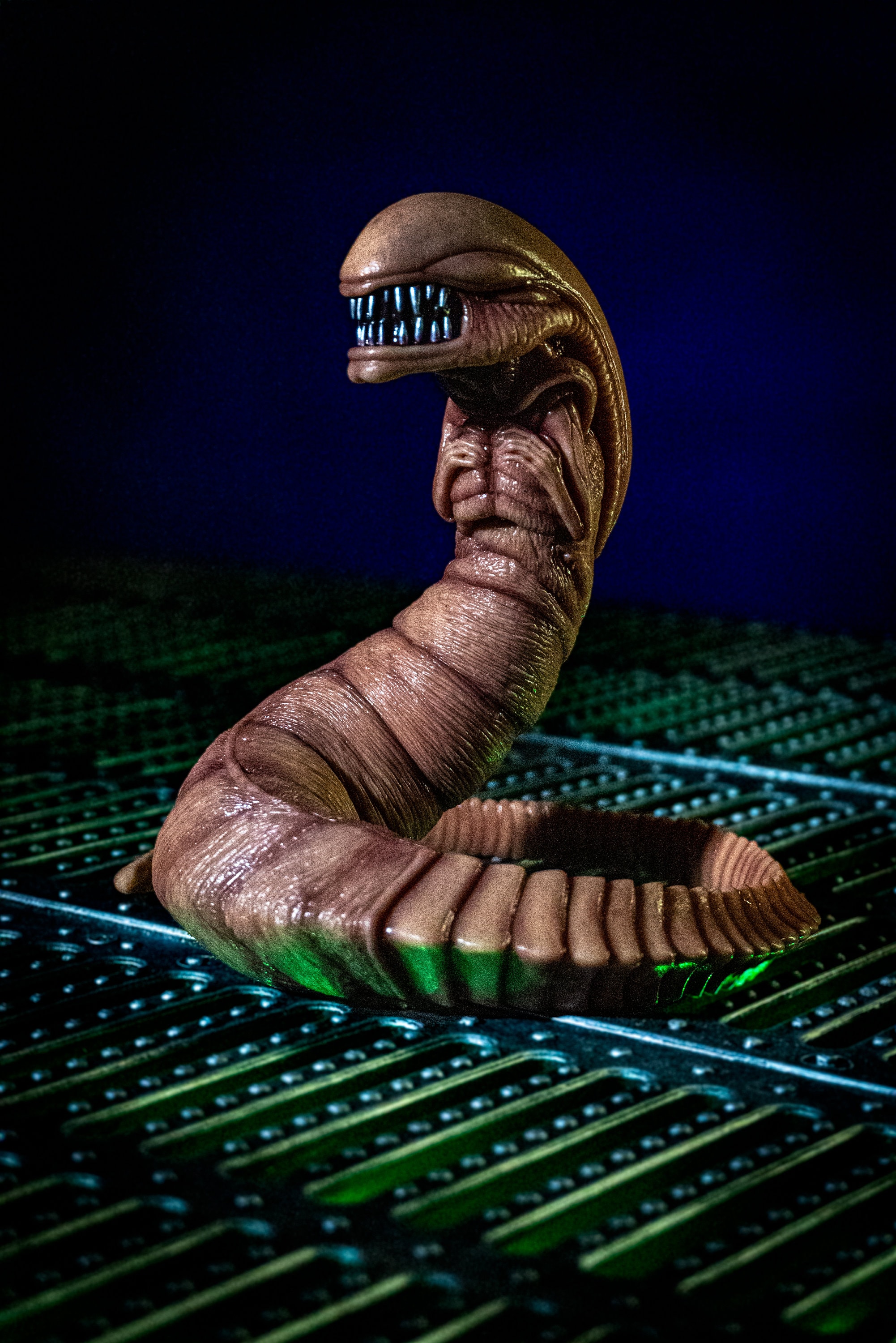 ALIEN 1/1 scale Chestburster（未開封） s-l400.jpg