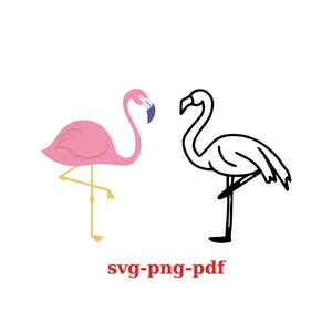 Flamingo SVG, Flamingo Clipart, Flamingo Cut File, Cricut Cut Files, Cricut Design Space, svg,png, vector flamingo, cutting files, flamingo