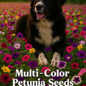Rainbow Petunia Seed Mix – Vibrant Multicolor Flowers for Garden Beds, Hanging Baskets, & Containers – Non-GMO USA Seeds