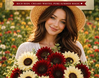 Cherry Vanilla Sunflower Seeds, Red White Mix, Cut Flower Garden, Cottage Bouquet