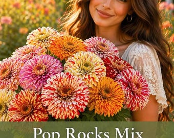 Zinnia Seed Mix: Multi Color Strip Candy Tones Flower Seeds.
