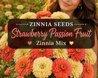 Strawberry Passion Fruit Zinnia Seeds, Coral and Cream Zinnia Seed Mix