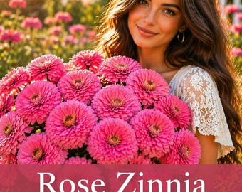 Seeds: Zinnia Seed Rose Pink Flowers