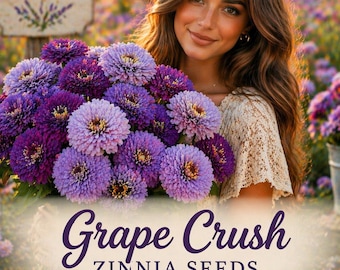 Grape Crush Zinnia Seeds | Purples & Lavender Tones Seed Mix.