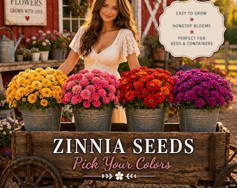 Farm Fresh Zinnia Seeds, Pick Your Colors, Purple, White, Red, Pink & Orange Seed