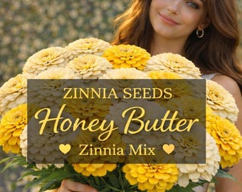 Honey Butter Zinnia Seeds, Yellow and Cream Zinnia Seed Mix