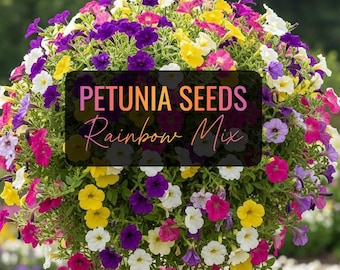 Seeds: Pelleted Mixed Color Petunia Seed, Rainbow Blooms for Your Garden.