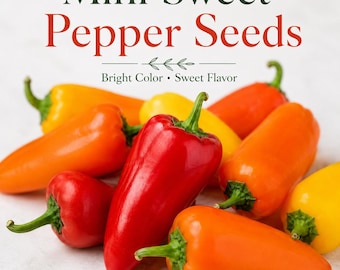 Mini Sweet Pepper Seeds, Colorful & Good!