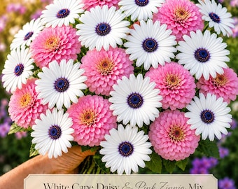 White Cape Daisy & Pink Zinnia Mix Seeds | White Daisy Purple Center Pink Zinnia Flower Mix | Pollinator Garden Seeds | Cut Flower Blend