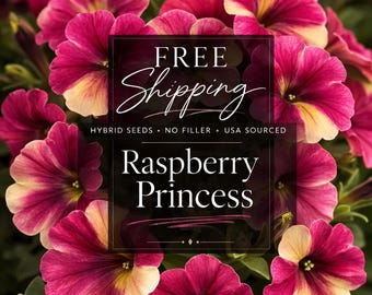 May include: A cluster of vibrant raspberry pink and cream petunia flowers with five petals each. A central black rectangular overlay features the white text: Raspberry Princess, Hybrid Seeds, No Filler, USA Sourced, and Free Shipping.