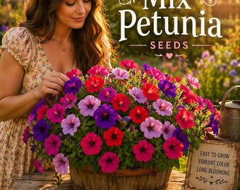 Wild Petunia Seeds, Mixed Rainbow Colors